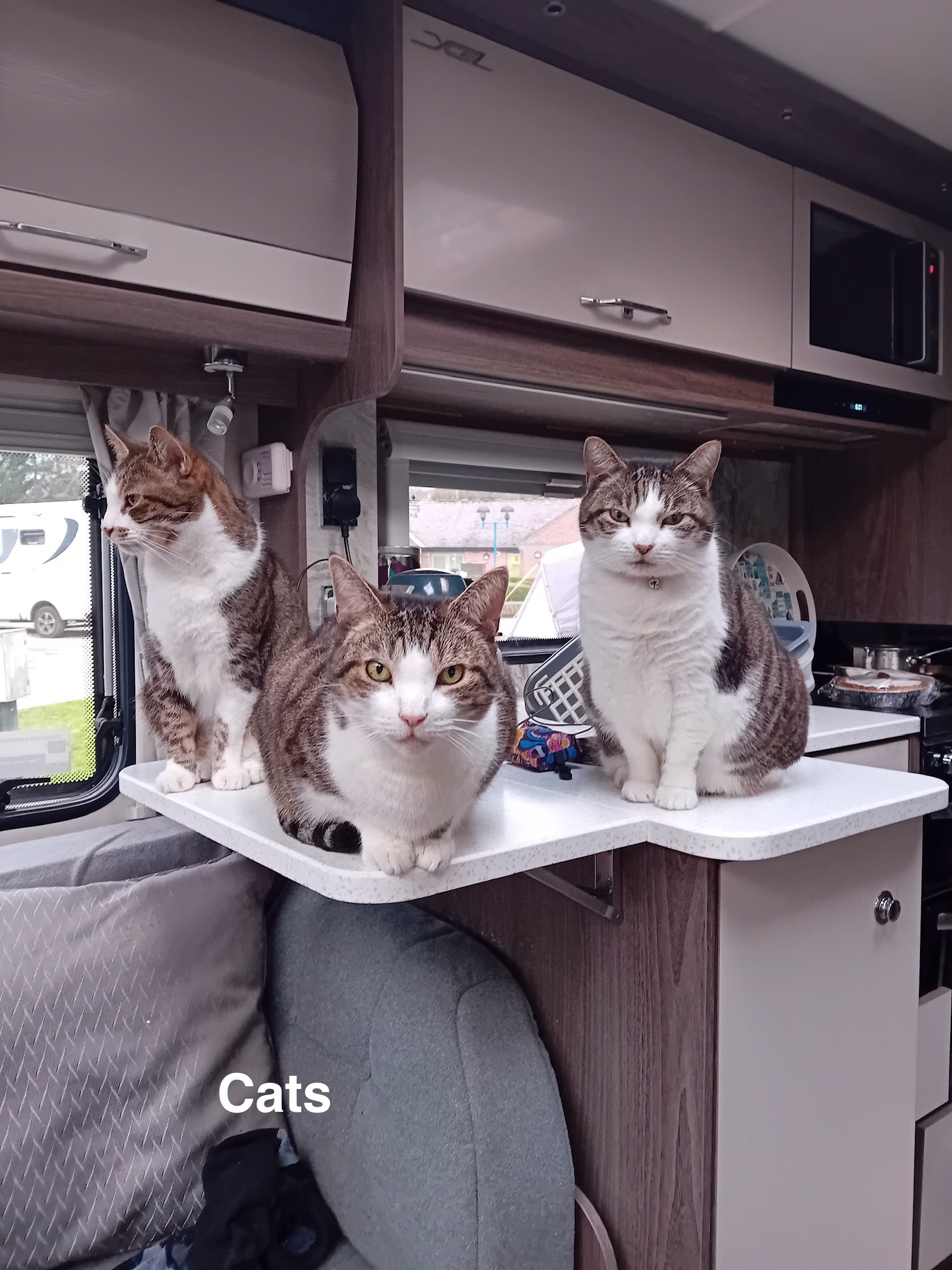 2025 Photo Competition